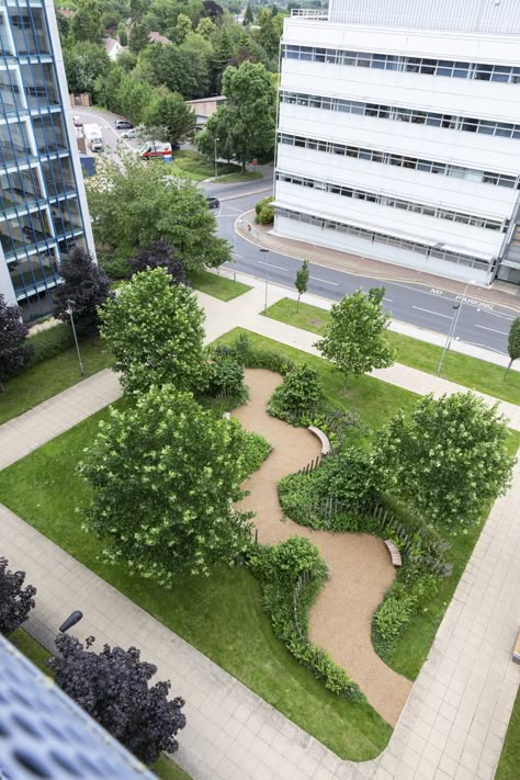 An aerial shot of the NHS 70 Garden we created for Addenbrooke's Hospital, providing a spot of respite and peace in nature for patients and visitors #publicspaces #gardendesign #landscapedesign #lookforward #nhs70 Healing Garden Design, Peace In Nature, Plaza Design, Pocket Park, Urban Landscape Design, Healing Garden, Courtyard Design, Sensory Garden, Landscape And Urbanism