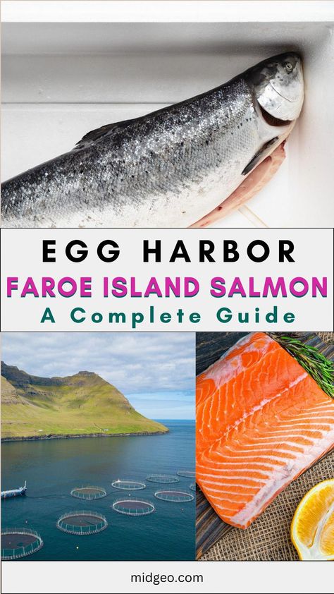 Egg Harbor Faroe Island Salmon: When it comes to seafood, salmon is undoubtedly one of the most popular choices. Among the different types of salmon, Egg Harbor Faroe Island salmon has gained considerable attention in recent years. This article will provide you with a complete guide on Egg Harbor Faroe Island salmon, covering its origin, nutritional value, cooking methods, and more. Salmon is an incredibly popular fish, enjoyed by seafood lovers worldwide. Smoked Seafood, Faroe Island, Salmon Farming, Prepared Eggs, Salmon Eggs, Seafood Platter, Seafood Market, Underwater Animals, Wild Salmon