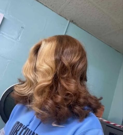 Pin by Giana on IG story inspo <3 | Ginger hair color, Hair color for black hair, Honey brown hair Blonde With Brown Skunk Stripe, Ginger Brown And Blonde Hair, 30 Hair Color Black Women, Brown Hair With Blonde Skunk Stripe, Ginger And Blonde Skunk Stripe, Brown And Blonde Skunk Stripe, Brown Hair Skunk Stripe, Blonde Hair Skunk Stripe, Brown With Blonde Skunk Stripe