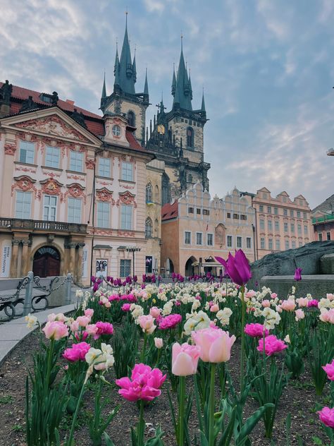 Germany Spring Aesthetic, Prague February, Summer In Prague, Prague Czech Republic Aesthetic, Prague Spring, Spring Vibes, Spring Aesthetic, City Break, Czech Republic