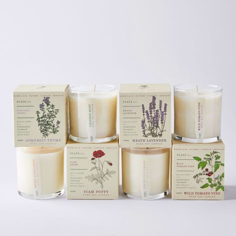 Soy Candles Packaging, Lilin Aroma, Candle Packaging Design, Candle Plant, Candle Brand, Earthy Fragrance, Candle Aesthetic, Candle Branding, Candle Packaging