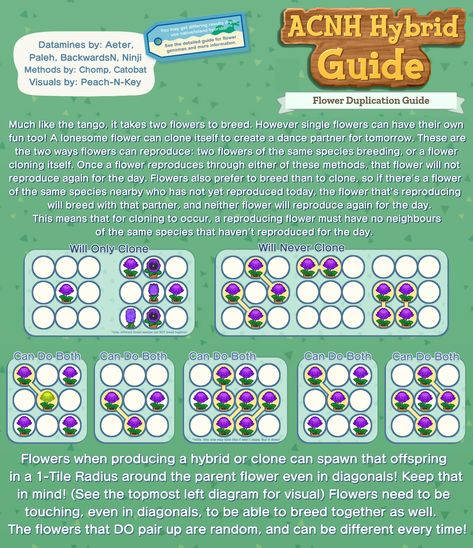 ACNH Hybrid Guide: Full Collection - Album on Imgur Animal Crossing Fan Art, Animal Crossing Memes, Animal Crossing Guide, Animal Crossing Qr Codes Clothes, Animal Crossing Villagers, Flower Guide, New Animal Crossing, Partner Dance, Animal Crossing Game