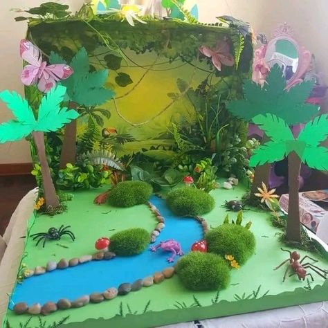 Kids Habitat Project Ideas, Biodiversity Model Ideas, Rainforest Diarama Ideas Kids, Rainforest Project Ideas, Rainforest Ecosystem Project Ideas, Rainforest Diorama Ideas, Rainforest Projects For Kids, Ecosystem Projects For Kids, Jungle Projects For Kids