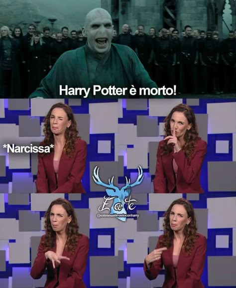 Meme Harry Potter Italiano Voldemort, Meme Harry Potter Italiano, Harry Potter Narcissa, Harry Potter Wattpad, Headcanon Harry Potter, Meme Harry Potter, Harry Potter Humor, Stile Harry Potter, Film Harry Potter