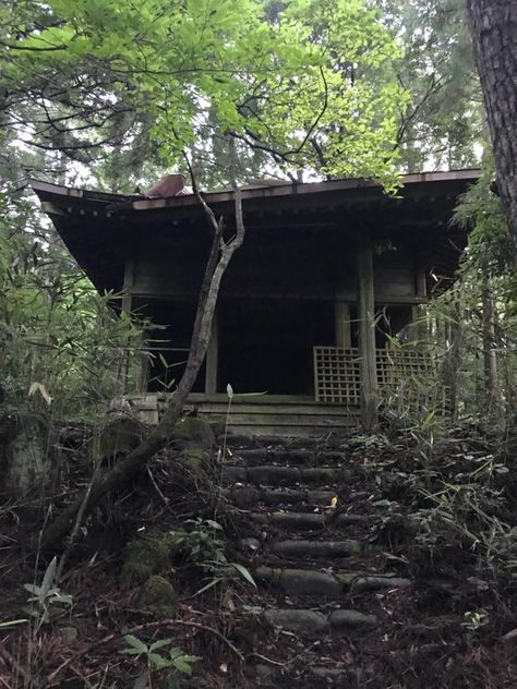 A Thousand Steps Into Night, Abandoned Shrine, Roadside Picnic, J Horror, Hakone Japan, Shrines Art, Japanese Town, Samurai Love Ballad Party, Japanese Shrine