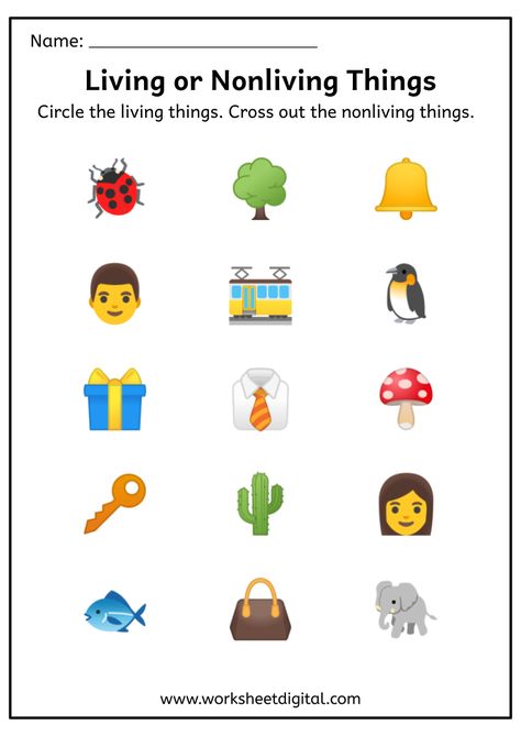 Living And Non Living Things Worksheet Kindergarten 059 Living Things Worksheet Kindergarten, Living Non Living Worksheet, Non Living Things, Living And Nonliving Things, States Of Matter Worksheet, School Kids Activities, Living And Nonliving, Matter Worksheets, English Worksheets For Kindergarten