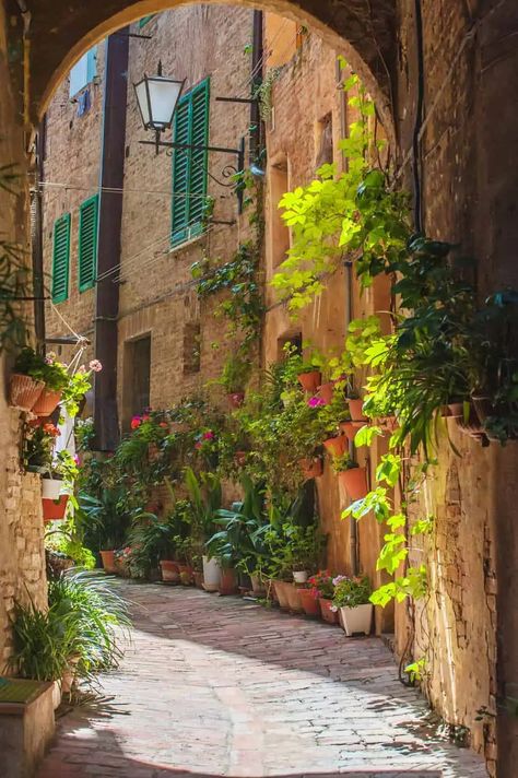 Italy Vibes, Siena Italy, Italy Tuscany, Italy Summer, Italy Aesthetic, Montepulciano, Italian Summer, Tuscany Italy, Florence Italy