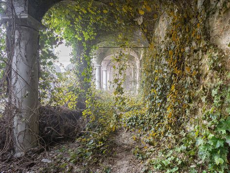 Abandoned buildings seen reclaimed by nature after humans ... Overgrown Aesthetic, Overgrown Abandoned, Nature Reclaiming, Man Vs Nature, Beautiful Abandoned Places, Urban Exploration Photography, Reclaimed By Nature, Abandoned Ruins, Urban Exploring