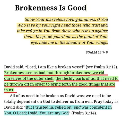 The book of Psalms reminds us that goodness can be found in everything - including brokenness. Psalm 17, Dark Moments, Christian Advice, Soli Deo Gloria, Daily Devotions, Landing Page Template, Bible Notes, Prayer Scriptures, Local Business