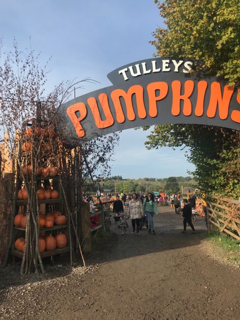 Pumpkin Picking Sign Tulleys Farm Tulleys Farm Halloween, Pumpkin Farm Aesthetic, Pumpkin Patch Entrance, Fall Fair Games, Stormy Meadow, Pumpkin Carving Station, Pumpkin Patch Ideas, Pumpkin Patch Business, Pumpkin Board