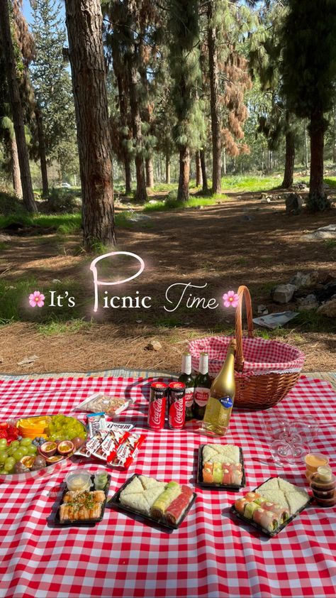 Dry Picnic Photo Ideas, Aesthetic Picnic Photos, Picnic Aesthetic Food Ideas, Picnic Instagram Story Ideas, Picnic Ig Story, Picnic Inspo Aesthetic, Picnic Pictures Ideas, Picnic Story Instagram, Picnic Instagram Story