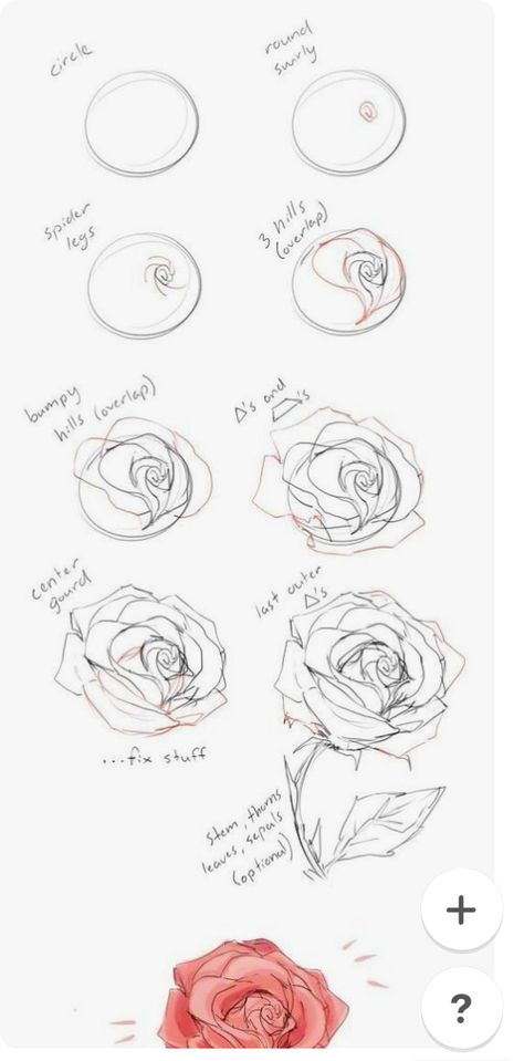 Flowers Sketching, Hur Man Ritar Blommor, Sketch Rose, Draw A Rose, Rose Line Art, Rose Sketch, Kunst Tattoos, Flower Drawing Tutorials, Flower Art Drawing