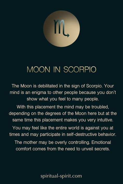 Zodiac Facts Scorpio, Libra Sun Scorpio Moon, Scorpio Moon Sign, Mars In Scorpio, Birth Chart Reading, Zodiac Quotes Scorpio, Libra Sun, Moon In Scorpio, Scorpio Scorpio