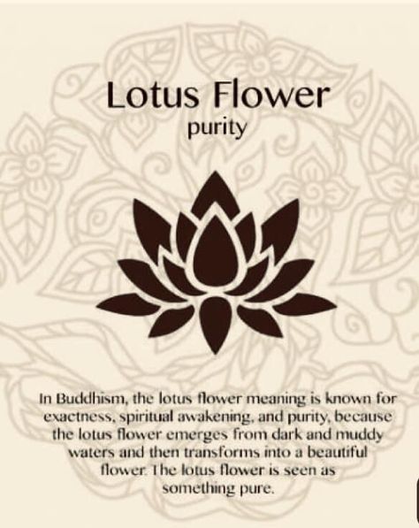 Flower Lotus Tattoo, Lotus Flower Meaning, Yoga Symbols, Polynesian Tattoos, Geometric Tattoos, Inspiration Tattoos, Cat Tattoos, Tiny Tattoo, Spiritual Tattoos