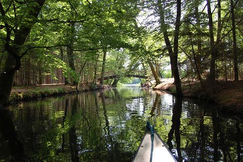 canoeing near silkeborg, denmark | Jane McDevitt | Flickr Silkeborg Denmark, Denmark, Plants, Photography