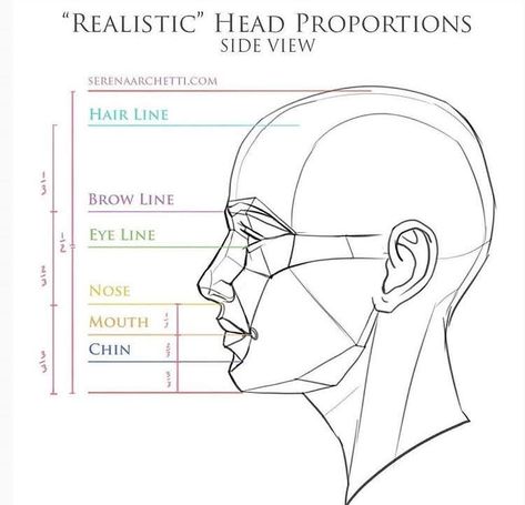 Practice Drawing Faces, Head Proportions, Portrait Drawing Tips, Face Proportions, Head Anatomy, Face Anatomy, Sculpture Head, 얼굴 드로잉, Drawing Tutorial Face