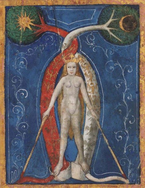 Alchemy Art, Birth Of Venus, Alchemy Symbols, Esoteric Art, A Discovery Of Witches, Occult Art, Medieval Manuscript, Red Books, Mystical Art