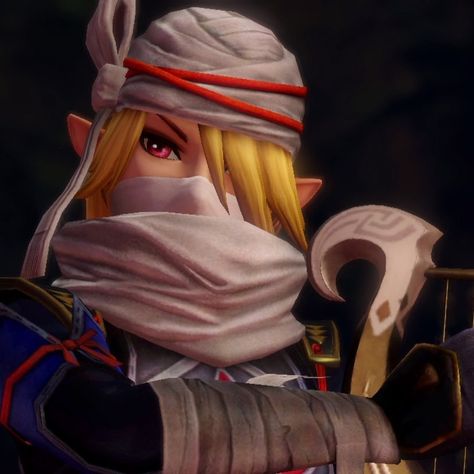 hyrule warriors icon Zelda Phone Theme, Hyrule Warriors Definitive Edition, Sheik Zelda, Hyrule Warriors Zelda, Legend Of Zelda Sheik, Zelda Icon, Hyrule Warriors Link, Zelda Sheik, Zelda Screenshots