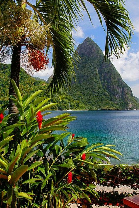 Saint Lucia, Caribbean Travel, Elba, Best Places To Travel, St Lucia, Pretty Places, Travel Places, Places Around The World, Vacation Destinations