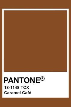 Pantone Brown, Brown Pantone, Pantone Tcx, Pantone Colours, Shades Of Colors, Pantone Palette, Pantone Colour Palettes, Muted Rainbow, Colors 2023