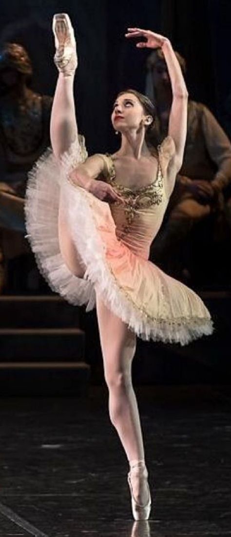 Ballerina Tutu Aesthetic, Pose Reference Ballerina, Ballerina Reference Photos, Ballerina On Stage Aesthetic, Ballet Tutu Poses, Ballerina Pose Reference, Pose Reference Ballet, Ballet Pose Ideas, Ballet Photo Poses