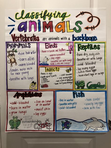 Classifying Animals Animal Groups Anchor Chart, Animal Characteristics Anchor Chart, Vertebrates And Invertebrates Anchor Chart, Classifying Animals Anchor Chart, Animal Lessons For Kindergarten, Classification Of Animals Project, Growth And Changes In Animals Grade 2, Animal Classification Anchor Chart, Animal Classification Chart