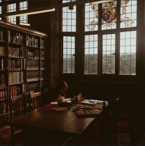 Hogwarts Library, Hogwarts Shifting, Shifting To Hogwarts, Gryffindor Aesthetic, Dark Acadamia, Viborg, Old Library, Library Aesthetic, Marauders Dr