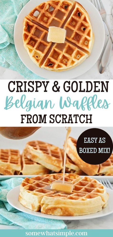 Everyone loves a soft and fluffy Belgian waffle covered in butter and syrup, but have you found THE recipe for perfectly golden and crispy waffles every time? You can cross Bisquik off your grocery list, because this from scratch recipe is not only delicious, but seriously just as easy as making a store-bought version! Fluffy Crispy Waffles, Mini Belgian Waffles, Homemade Waffles Recipe Belgian, Crisp Waffle Recipe, Waffles From Scratch Easy, Crispy Belgian Waffles, Crispy Waffles Belgian, How To Make Crispy Waffles, Crispy Belgian Waffle Recipe