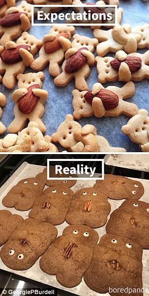 Another wanted to copy a recipe for pecan sugar cookies that look like bears, but ended up with disfigured creatures that have spread out way too thinly Baking Fails, Cooking Fails, Cake Fails, Expectations Vs Reality, Food Fails, Cooking Quotes, Expectation Reality, Expectation Vs Reality, Epic Fails