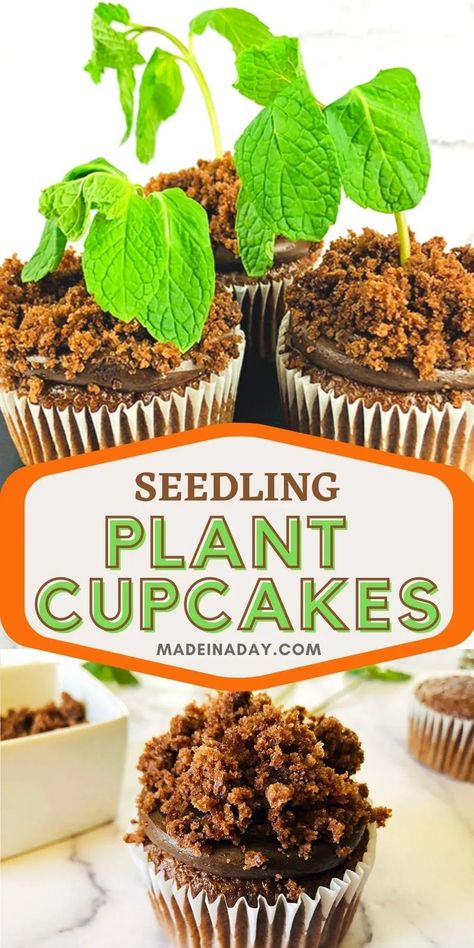 Earth Day Desserts, Plant Cupcakes, Holiday Recipes Dinner, Healthy Simple Snacks, Flower Pot Cupcakes, Cupcake Flower Pots, Tree Cupcakes, Quick Recipes Easy, Southern Recipe