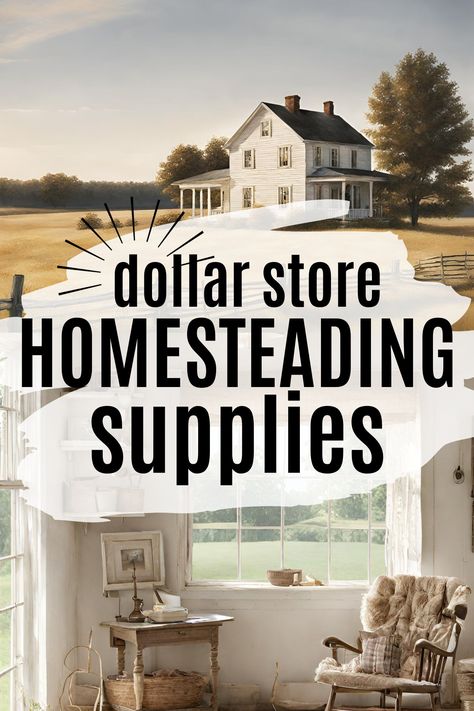 Who says you need to break the bank to live off the land? 🤔 Discover how to create your own homesteading haven without emptying your wallet! 💸💚 We're sharing our top tips and tricks on making the most of your dollar store homesteading supplies to create a sustainable lifestyle! 🏡🌱🌿🌼✨ Homestead Hacks Diy, Homesteading Without Land, Homesteading Skills Frugal Living, Cheap Homestead Ideas, Homesteading In The Desert, Homesteading Must Haves, Small Scale Homesteading, Homesteading On A Budget, Tiny Home Homestead