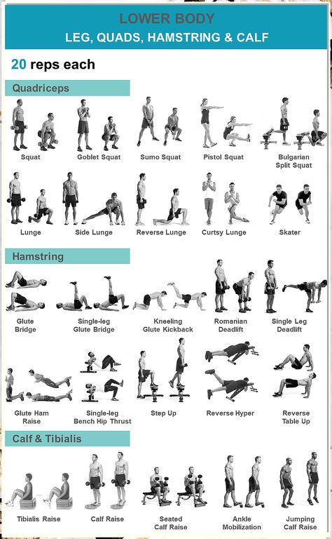 Looking to improve your fitness in record time? This fitness plan will help get you there. Lower Body Body Weight Exercises, Dumbell Leg Exercises, Single Leg Hamstring Exercises, Lower Body Quad Workout, Body Weight Leg Day, Quads Hamstrings Calves Workout, Quads And Calf Workout, Leg With Dumbbells, Leg Workout For Strength