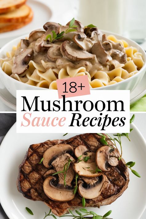 Healthy Creamy Mushroom Sauce, Mushroom Sauce Recipes, Butter Fish Recipe, Red Wine Mushroom Sauce, Mushroom Pasta Sauce, Mushroom Cream Sauce, Balsamic Mushrooms, Mushroom Sauce Recipe, Roasted Beef