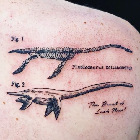 Above The Knee Tattoo Skeleton, Ky Tattoos, Scientific Tattoo, 16 Tattoo, History Tattoos, Dinosaur Tattoos, Funky Tattoos, Skeleton Tattoos, Tattoo Aesthetic