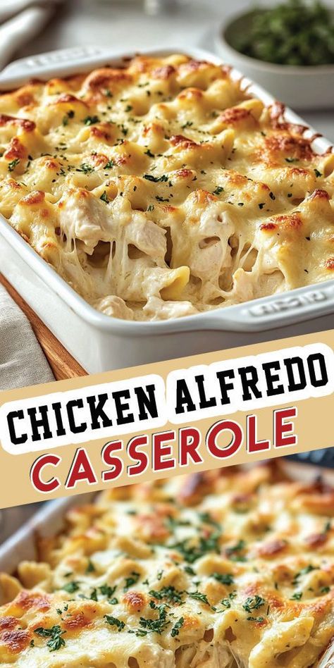 Chicken Alfredo Casserole Ingredients: 3 cups cooked chicken, shredded 12 oz pasta (penne or rotini works well) 2 cups Alfredo sauce (store-bought or homemade) 1 1/2 cups mozzarella cheese, shredded 1/2 cup Parmesan cheese, grated 1/2 cup heavy cream 2 tablespoons unsalted butter 1/2 teaspoon garlic powder 1/2 teaspoon onion powder Salt and pepper to taste 1 tablespoon chopped fresh parsley (optional, for garnish) #Chicken #Alfredo #Quickrecipe Chicken Breast Alfredo Recipes, Cheddar Cheese Chicken, Jar Alfredo Sauce, Easy Chicken Alfredo, Alfredo Casserole, Chicken Alfredo Casserole, Chicken Alfredo Bake, Chicken Shredded, Pasta Penne