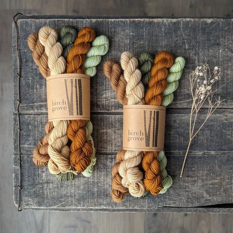 Kristina | I've just added some 𝑨𝒖𝒕𝒖𝒎𝒏 𝑭𝒊𝒆𝒍𝒅𝒔 mini skein sets to the shop!🌿 #knitting #sockknitting #handknitsocks #miniskeins #scrappysocks... | Instagram Hand Knit Socks, Yarn Inspiration, Mini Skein, Hand Dyed Yarn, Knitting Ideas, Knitting Socks, Put Together, Spinning, Dye