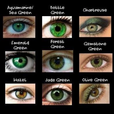 Eye Color Chart For Writers, Eye Color Descriptions Writing, Green Eye Color Chart, Green Eyes Color Palette, Types Of Green Eyes, Green Eye Color, Different Eye Colors, Rare Eye Colors, Eye Color Chart