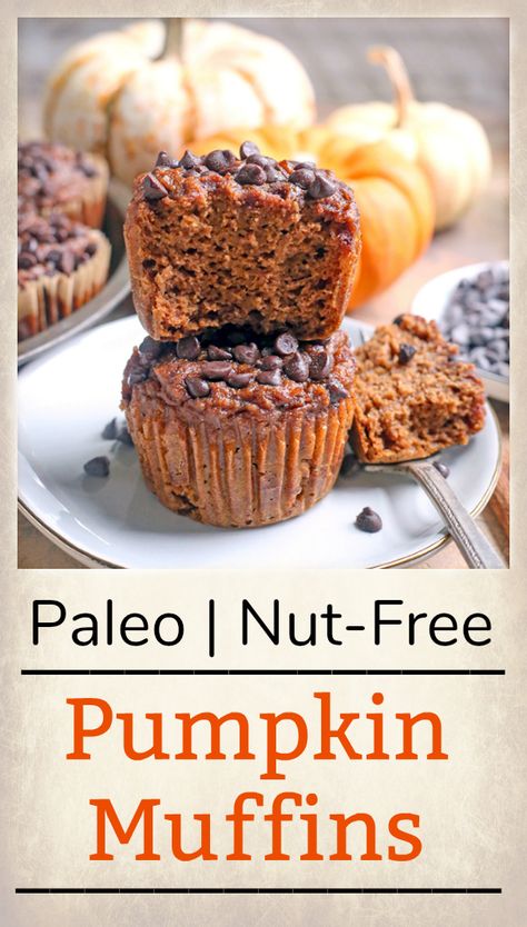 Paleo Nut-Free Pumpkin Muffins - Real Food with Jessica Paleo Pumpkin Recipes, Paleo Pumpkin Muffins, Gluten Free Cake Mixes, Gluten Recipes, Paleo Muffins, Best Paleo Recipes, Paleo Baking, Paleo Recipes Easy, Healthy Treat