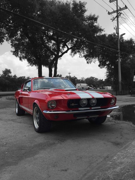 Red Mustang 1969, Cherry Red Mustang, Gt 500 Shelby, Yellow Mustang, Trylogia Hell, Mustang 1969, Car Mustang, Ford Mustang 1969, Mustang Classic