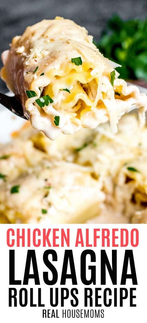 Easy Lasagna Rolls, Chicken Alfredo Lasagna Roll Ups, Alfredo Lasagna Roll Ups, Lasagne Roll Ups, Chicken Lasagna Rolls, Alfredo Recipes, Chicken Alfredo Lasagna, Alfredo Lasagna, Lasagna Roll Ups