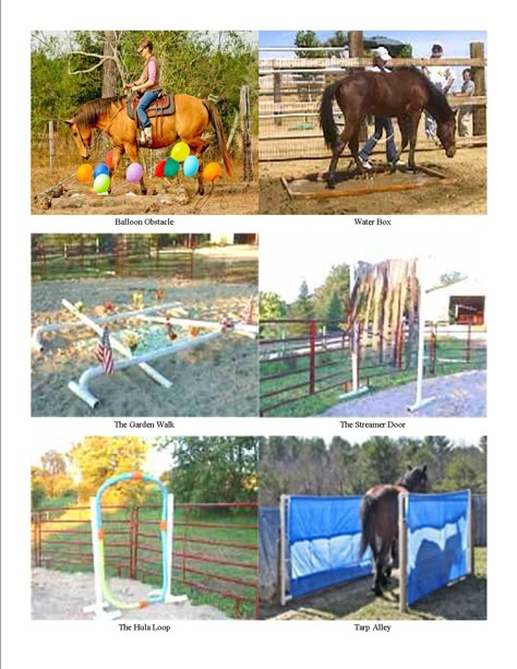 Obstacles for horse training. Great ideas for clicker training and horse agility, or just to desensitize your horse to things you might encounter while trail riding. Horse Obstacle Course, Obstacle Course Ideas, Horse Obstacles, Dog Clicker Training, Pictures Of Horses, Horse Lessons, Horse Arena, Paddock Paradise, Horse Exercises