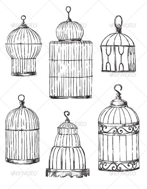 Vintage Bird Cage Decor, Vintage Bird Tattoo, Birdcage Tattoo, Antique Bird Cages, Bird Embroidery Pattern, Bird In A Cage, Cage Tattoos, Vintage Bird Illustration, Bird Cage Decor