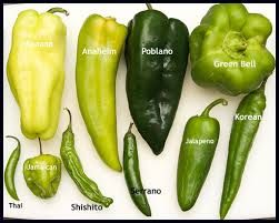 20 Different Types of Peppers and Their Delicious Uses Types Of Peppers, Chile Peppers, Chilli Peppers, Baked Apple Pie, Olive Oil Cake, Green Peppers, Chile Pepper, Hot Peppers, Chilli Pepper