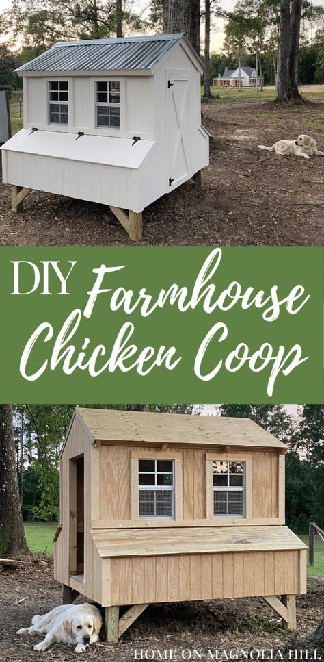 Chicken Coop Designs Easy To Clean, Diy Enclosed Chicken Coop, Small Chicken House Diy, Diy Big Chicken Coop, Chicken Coop Ideas For 12 Chickens, Plywood Chicken Coop Plans, Best Diy Chicken Coop, Six Chicken Coop, Diy Chicken Coop 20 Chickens