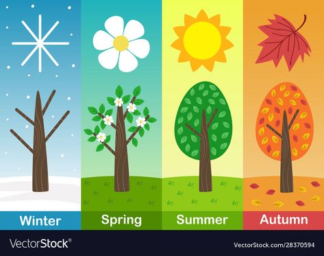 Four Seasons Art, Seasons Preschool, Trees Vector, Whats In Season, Season Aesthetic, Sketches Art, Seasons Art, Nba Season, Pencil Sketches