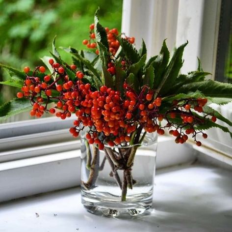 Wild Berries, Winter Berry, Roasted Nuts, Flowers Arrangements, Wild Berry, Floral Ideas, Winter Solstice, Art Flowers, Winter Time