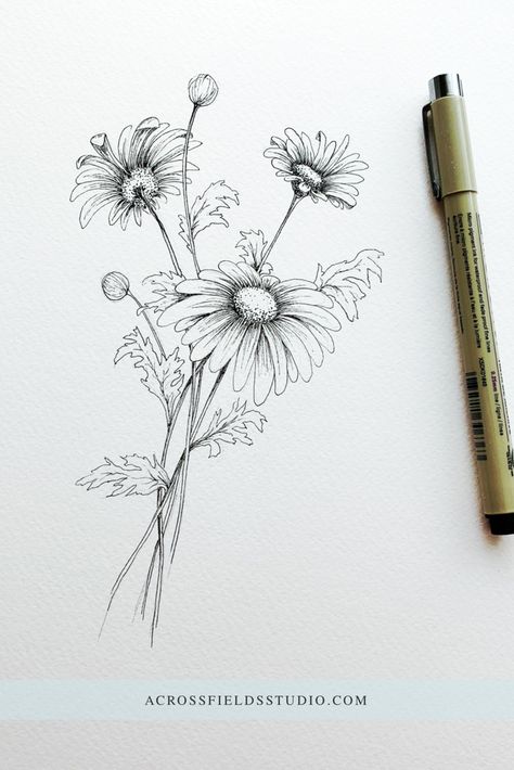 Black and white ink drawing. Floral bouquet of daisies. Drawn with micron pen. Ink sketch. #inkdrawing #pensketch #linework | @acrossfieldsstudio Daisy Flower Drawing, Daisy Drawing, Flower Bouquet Drawing, Tattoo Zeichnungen, Flower Art Drawing, Flower Sketches, 수채화 그림, Pen Sketch, Ink Drawings