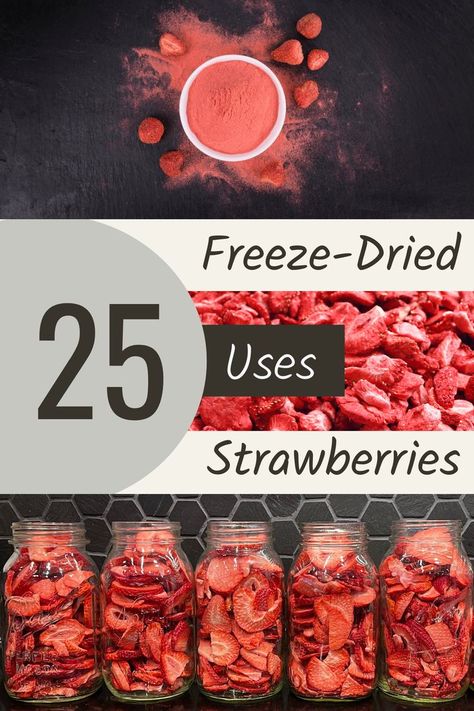 Do you want to learn how to freeze dry strawberries and discover the amazing ways they can be used? Freeze-dried strawberries are one of the healthiest and most flavorful snacks around, and they can also be used to add a delicious dimension to all kinds of recipes. In this guide, we'll show you how to freeze dry strawberries and showcase 25 of the best ways to use them. Get ready to get creative, because the possibilities are truly endless! Uses For Freeze Dried Strawberries, Dehydrated Strawberries Recipes, Things You Can Freeze Dry, Freeze Dried Fruit Uses, Rehydrating Freeze Dried Food, Recipes With Freeze Dried Strawberries, Healthy Freeze Dried Snacks, Freeze Dried Recipes, Freeze Dried Strawberry Recipes