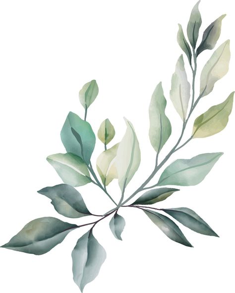 Leaves, flowers in watercolor for decoration. Lime green and gray color. Flowers In Watercolor, Leaf Watercolor, Watercolor Leaf, Bond Paper Design, Verde Lima, Leaf Designs, Leaf Border, Green And Gray, Watercolor Plants