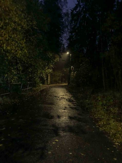 late rainy fall night Rainy Fall Night, Rainy Walk Aesthetic, Rainy Road Night, Nature Rain Wallpaper, Dark Rainy Night Aesthetic, Rainy Sidewalk, Rainy Midnight, Night Walks Aesthetic, Fall At Night